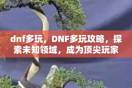 dnf多玩，DNF多玩攻略，探索未知领域，成为顶尖玩家！