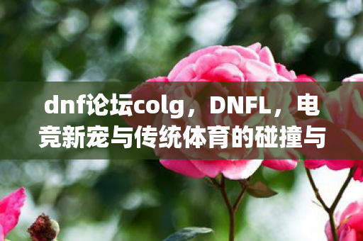dnf论坛colg,DNFL,电竞新宠与传统体育的碰撞与融合 dnf论坛colg,DNFL,电竞新宠与传统体育的碰撞与融合