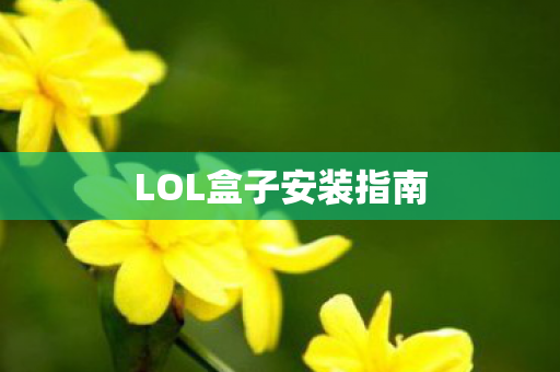 LOL盒子安装指南