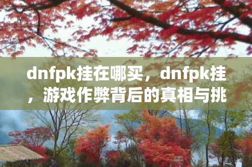 dnfpk挂在哪买,dnfpk挂,游戏作弊背后的真相与挑战 dnfpk挂在哪买,dnfpk挂,游戏作弊背后的真相与挑战