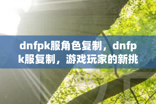 dnfpk服角色复制，dnfpk服复制，游戏玩家的新挑战与机遇