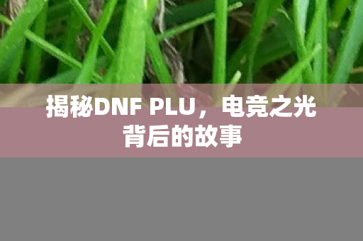 揭秘DNF PLU,电竞之光背后的故事 揭秘DNF PLU,电竞之光背后的故事