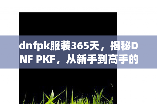 dnfpk服装365天，揭秘DNF PKF，从新手到高手的必经之路