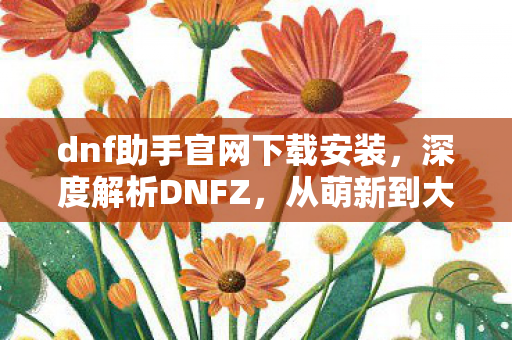 dnf助手官网下载安装，深度解析DNFZ，从萌新到大佬的全方位攻略