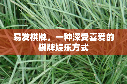 易发棋牌，一种深受喜爱的棋牌娱乐方式