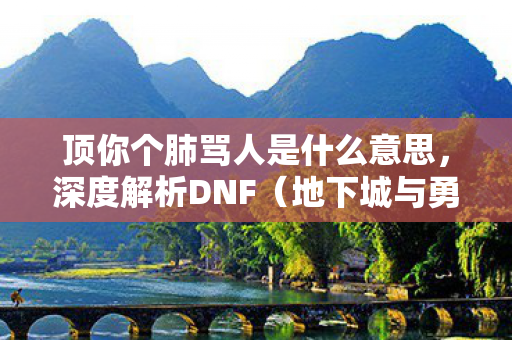 顶你个肺骂人是什么意思，深度解析DNF（地下城与勇士）游戏特色与玩家体验