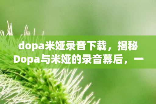 dopa米娅录音下载，揭秘Dopa与米娅的录音幕后，一段传奇的合作之旅