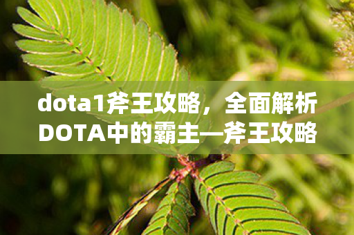 dota1斧王攻略,全面解析DOTA中的霸主—斧王攻略 dota1斧王攻略,全面解析DOTA中的霸主—斧王攻略