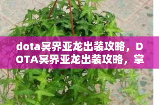 dota冥界亚龙出装攻略，DOTA冥界亚龙出装攻略，掌握核心装备，让你成为战场霸主！