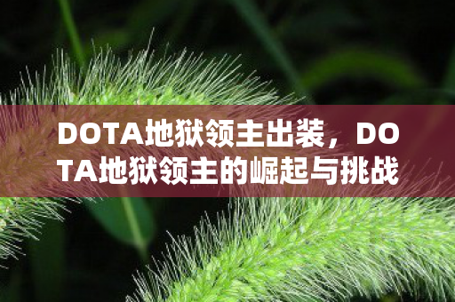 DOTA地狱领主出装，DOTA地狱领主的崛起与挑战