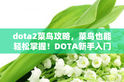 dota2菜鸟攻略,菜鸟也能轻松掌握!DOTA新手入门教程 dota2菜鸟攻略,菜鸟也能轻松掌握!DOTA新手入门教程