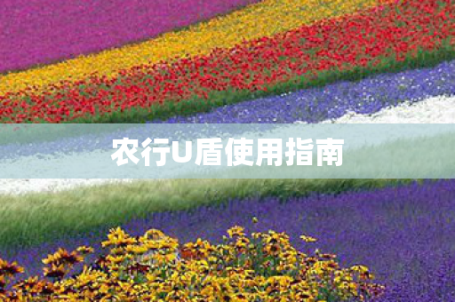 农行U盾使用指南