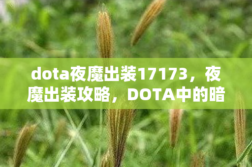 dota夜魔出装17173，夜魔出装攻略，DOTA中的暗夜刺客之道