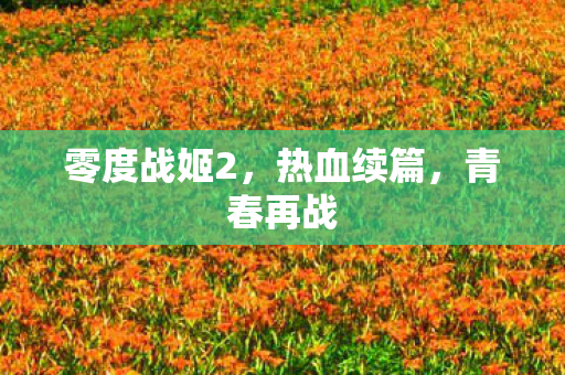 零度战姬2，热血续篇，青春再战