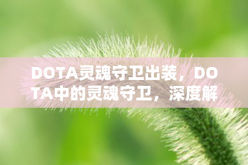 DOTA灵魂守卫出装，DOTA中的灵魂守卫，深度解析与战术应用