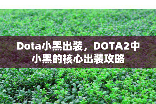 Dota小黑出装，DOTA2中小黑的核心出装攻略