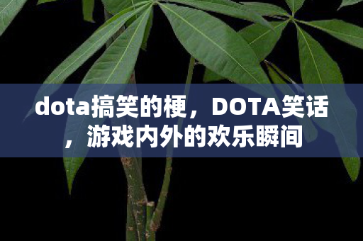 dota搞笑的梗，DOTA笑话，游戏内外的欢乐瞬间