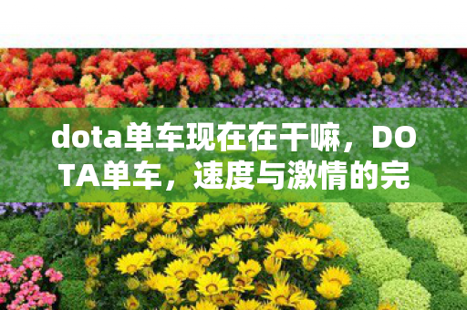 dota单车现在在干嘛,DOTA单车,速度与激情的完美融合 dota单车现在在干嘛,DOTA单车,速度与激情的完美融合