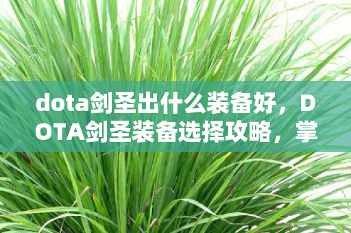 dota剑圣出什么装备好，DOTA剑圣装备选择攻略，掌握核心装备，轻松提升战斗力！