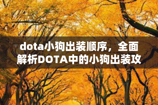dota小狗出装顺序，全面解析DOTA中的小狗出装攻略