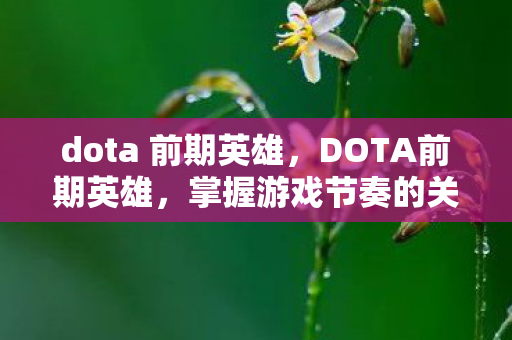 dota 前期英雄，DOTA前期英雄，掌握游戏节奏的关键角色