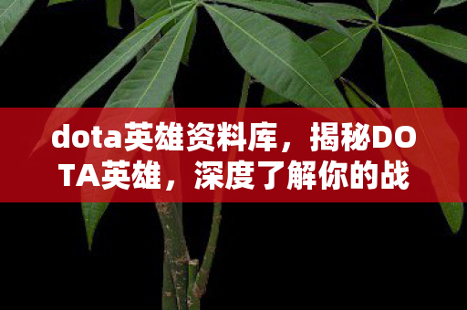 dota英雄资料库，揭秘DOTA英雄，深度了解你的战场伙伴