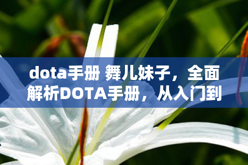 dota手册 舞儿妹子，全面解析DOTA手册，从入门到进阶的实战指南