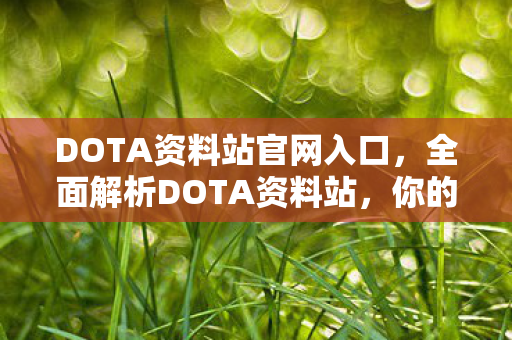 DOTA资料站官网入口，全面解析DOTA资料站，你的游戏宝典