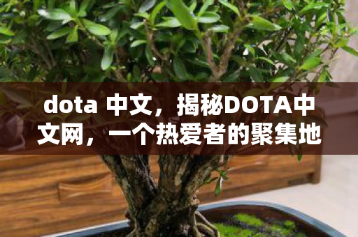 dota 中文，揭秘DOTA中文网，一个热爱者的聚集地
