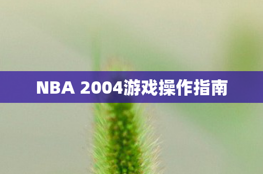 NBA 2004游戏操作指南 NBA 2004游戏操作指南