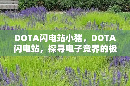 DOTA闪电站小猪,DOTA闪电站,探寻电子竞界的极速激情 DOTA闪电站小猪,DOTA闪电站,探寻电子竞界的极速激情