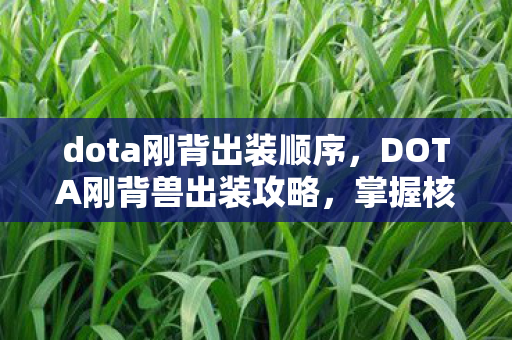 dota刚背出装顺序，DOTA刚背兽出装攻略，掌握核心装备，驰骋战场！