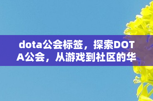 dota公会标签,探索DOTA公会,从游戏到社区的华丽转变 dota公会标签,探索DOTA公会,从游戏到社区的华丽转变