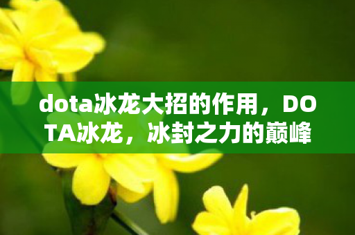 dota冰龙大招的作用,DOTA冰龙,冰封之力的巅峰对决 dota冰龙大招的作用,DOTA冰龙,冰封之力的巅峰对决