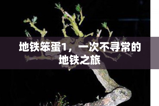 地铁笨蛋1，一次不寻常的地铁之旅