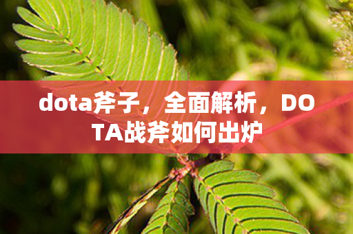dota斧子，全面解析，DOTA战斧如何出炉