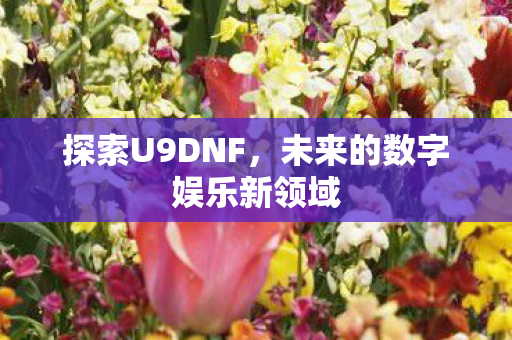 探索U9DNF，未来的数字娱乐新领域