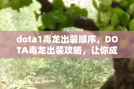 dota1毒龙出装顺序,DOTA毒龙出装攻略,让你成为战场霸主 dota1毒龙出装顺序,DOTA毒龙出装攻略,让你成为战场霸主