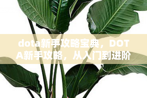 dota新手攻略宝典，DOTA新手攻略，从入门到进阶的全方位指南
