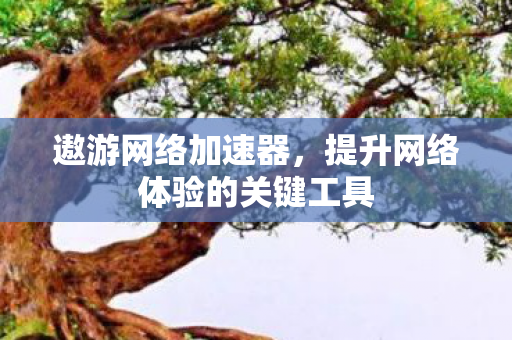 遨游网络加速器，提升网络体验的关键工具