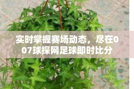 实时掌握赛场动态，尽在007球探网足球即时比分