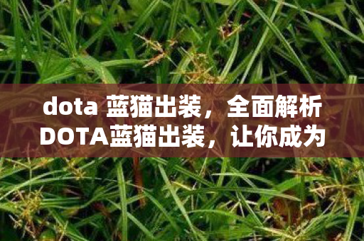dota 蓝猫出装，全面解析DOTA蓝猫出装，让你成为战场上的疾风剑客！