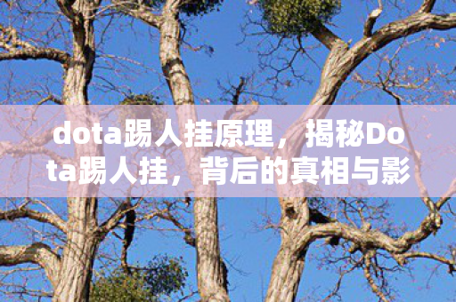dota踢人挂原理，揭秘Dota踢人挂，背后的真相与影响