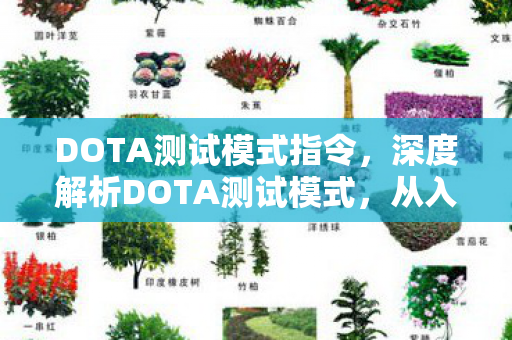 DOTA测试模式指令，深度解析DOTA测试模式，从入门到精通