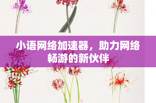 小语网络加速器，助力网络畅游的新伙伴