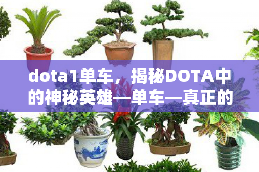 dota1单车,揭秘DOTA中的神秘英雄—单车—真正的身份与故事 dota1单车,揭秘DOTA中的神秘英雄—单车—真正的身份与故事