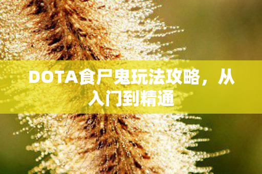 DOTA食尸鬼玩法攻略，从入门到精通