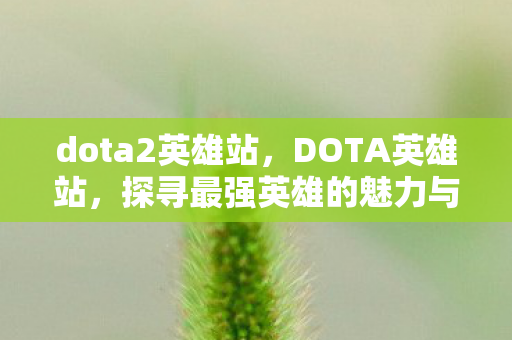 dota2英雄站，DOTA英雄站，探寻最强英雄的魅力与荣耀