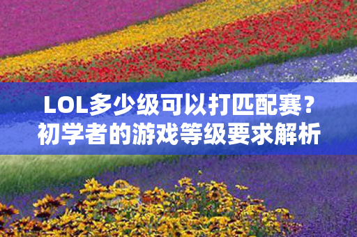 LOL多少级可以打匹配赛？初学者的游戏等级要求解析