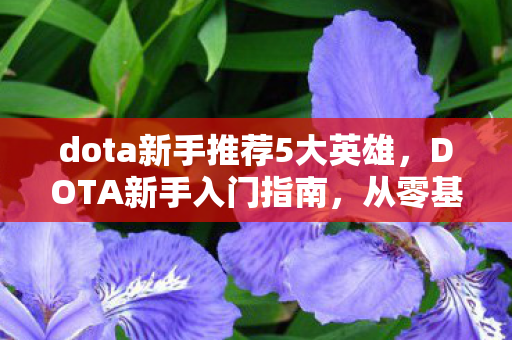 dota新手推荐5大英雄，DOTA新手入门指南，从零基础到进阶高手的必经之路